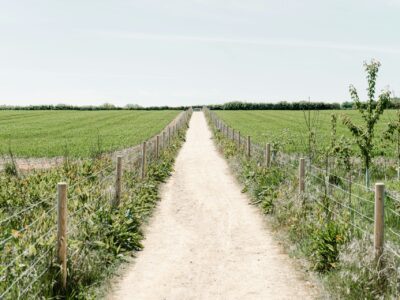 Smooth and durable private road paving Manchester