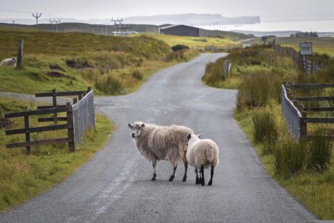 Farm Road Surfacing Contractors 