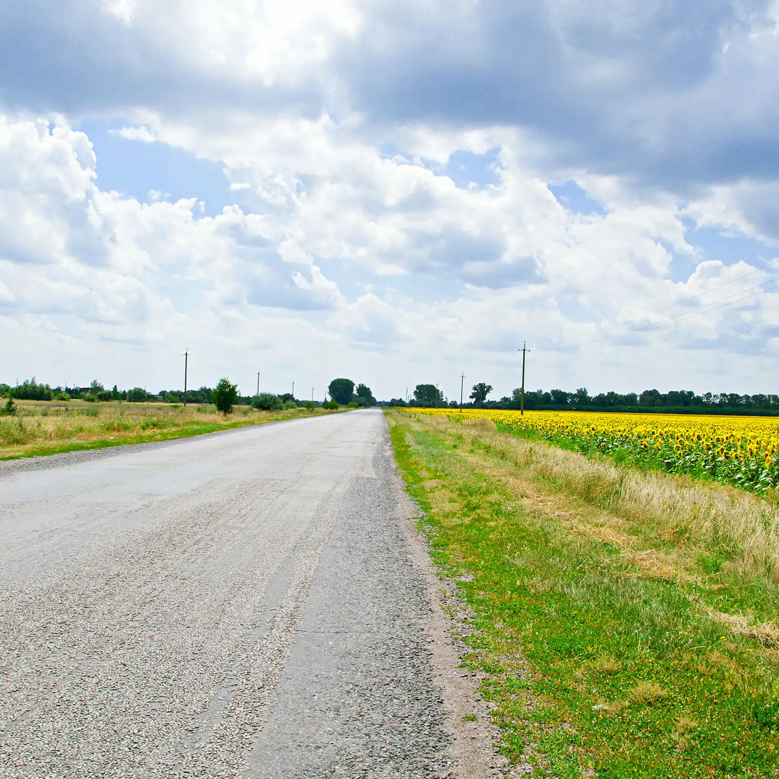 Resurface Farm Road Contractor Manchester