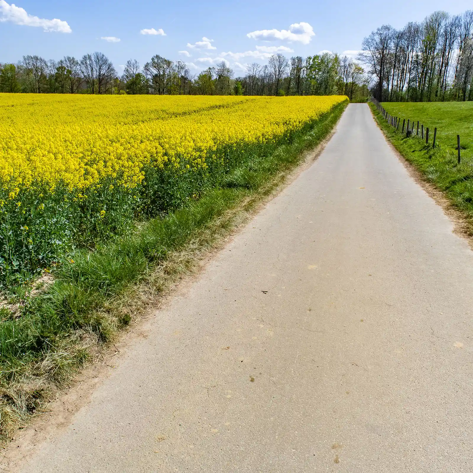 Farm Road Surfacing Contractor Poynton